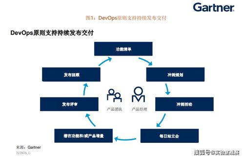 2025年属兔运势_2025年属兔每月运势