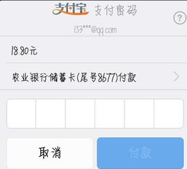 这种是填什么密码 是银行卡后面6个数字吗 