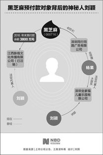 黑芝麻巨额预付款流向调查 数笔资金到底进了谁口袋