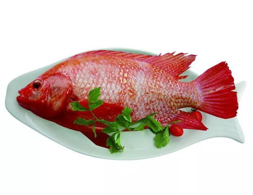 可以吃的红色的鱼 市场常见红色的鱼
