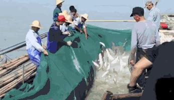 开渔啦 千帆竞发,一场渔民的海上狂欢 