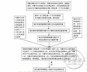 北京单独两孩政策(北京单独二胎准生证办理流程是怎样的)