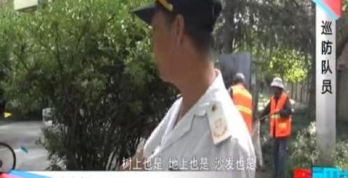 男女小树林 现场直播 ,安全套随地扔,居民 都看得很清楚