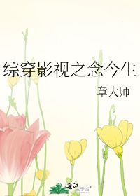 综穿影视之念今生 章大师 晋江文学城 