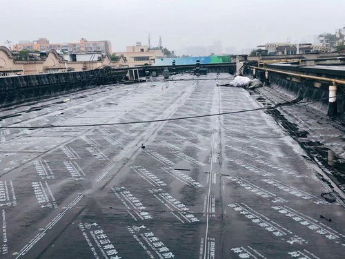 拆违建铺防水 让居民无忧度雨季