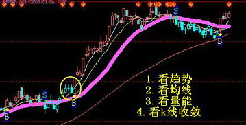 担保品买入A股票并融资买入B股票后，担保品卖出A股票所得资金会偿还负债吗？