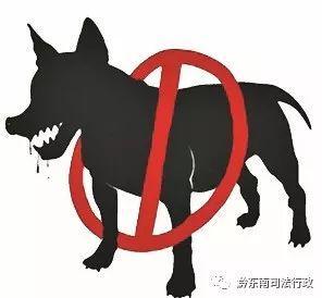 一批新规3月1日起正式实施 贵州出台城市养犬管理规定