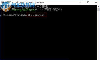 sd卡电脑读取win10