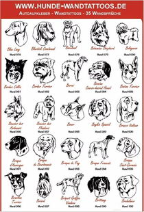 德语 453种狗狗的名称 