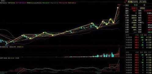 燃煤发电企业为什么不做煤期货对冲风险