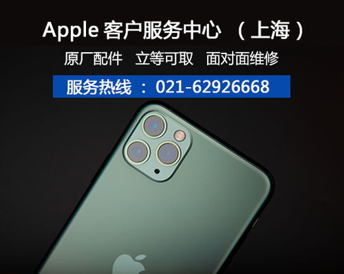 iPhone手机花屏没反应是什么原因 