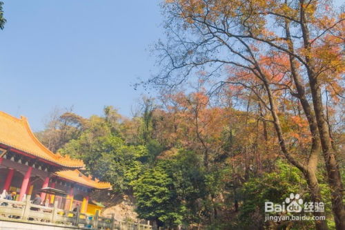 新会圭峰山旅游攻略(新会圭峰山玉台寺停车场收费标准)