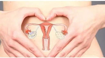怎么评估卵巢功能？38岁试管成功机会还有吗？