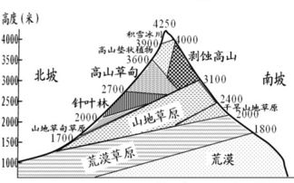 森林为什么可以遮挡风沙