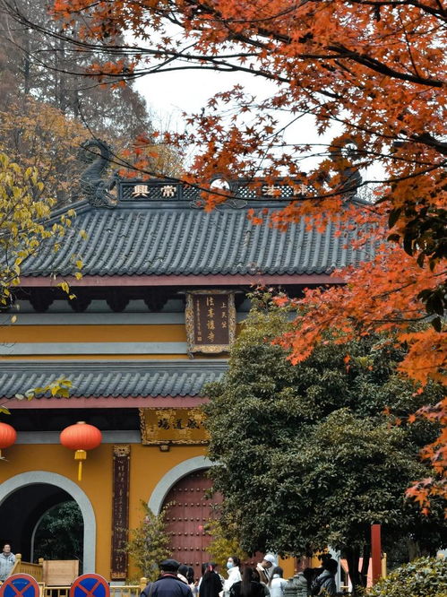 比灵隐寺更受杭州人喜爱的寺院,小众到连寺名都很少听说,却美了上千年 