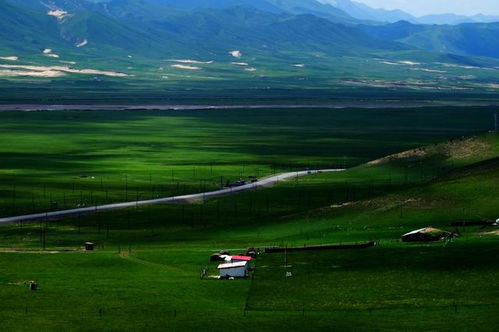 中国最美的六大草原