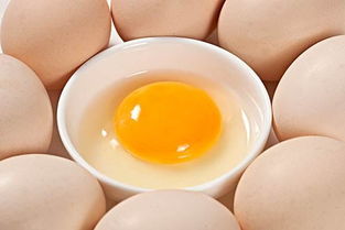 毛鸡蛋活珠子傻傻分不清楚,你平时吃的可能都是毛鸡蛋