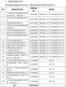 我的资金帐号里有10股国电配债是什么意思