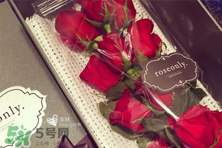 roseonly鲜花多少钱 roseonly永生花多少钱