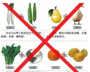 桃子西瓜同吃会中毒 谣言 食物相克 能信吗 
