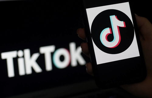TikTok账号起名有哪些注意点_tiktok游戏推广