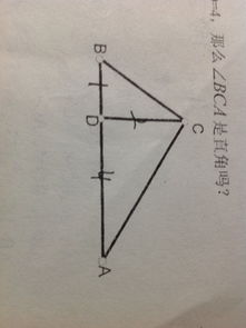 初二勾股定理求助！！