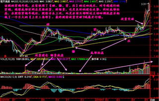 如何得知个股的流动股