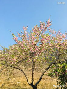 太行春夏秋冬美,引来东西南北客