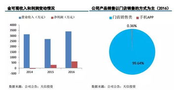 什么是项目资金比例