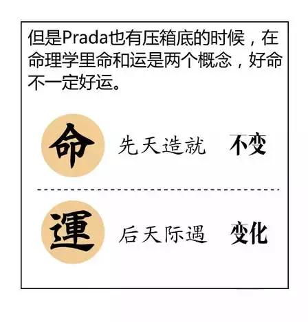 看图学命理八字,十分钟道尽命理天机 好料干货 