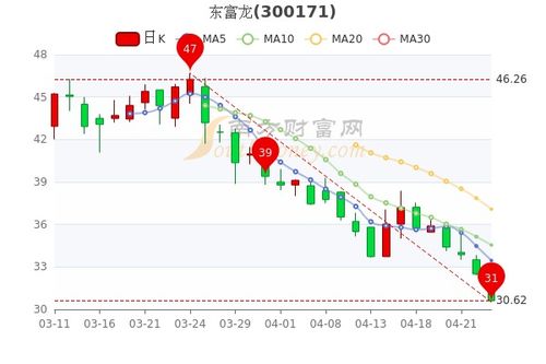 东富龙股票属于什么概念?