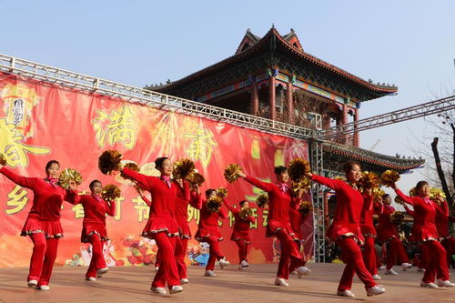 内乡 春满菊乡 庆佳节