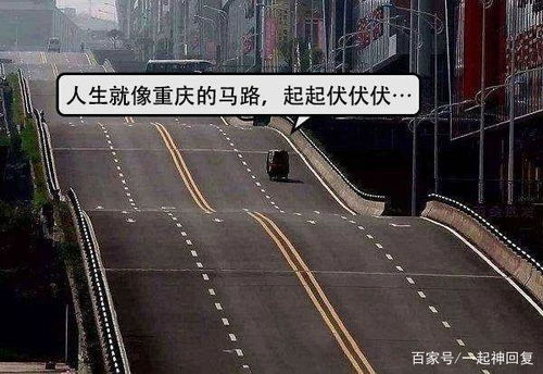 重庆现大波浪公路 开车如坐过山车 真是太神奇了