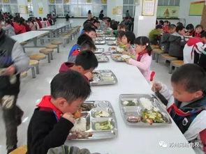 苏州学校食堂抽检,半数不合格 食品安全在行动,今年还将整治