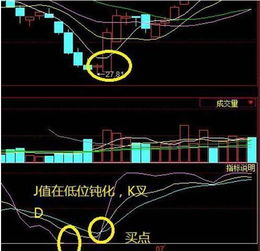本身目前是高位，且kdj是死叉，为何还有人买进呢