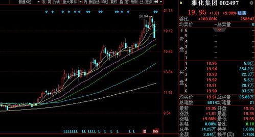 新能源汽车板块迎来外资大手笔增持，两大龙头股受益最显著