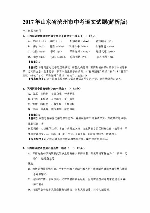 2017年山东省滨州市中考语文试题 word解析版 