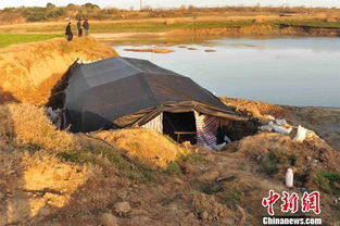 河滩内暗藏特大赌窝 湖北黄冈警方卧底数月捣毁