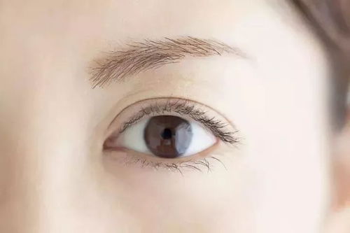 一旦眼睛出现这8种症状,可能是大病征兆 特别是中老年人