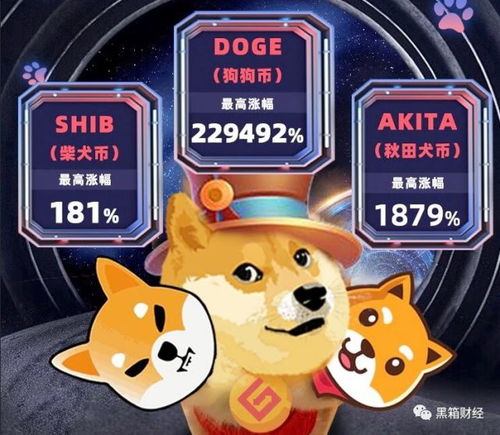 DRINK币怎么样;minidoge是什么币