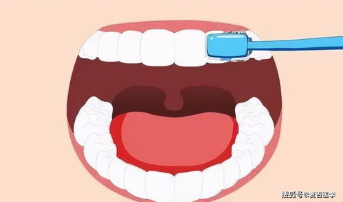 牙掉了要补吗 有的时候真的需要 以牙还牙