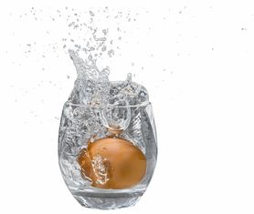 透明的蛋是什么东西