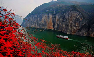 11月12月去哪里旅游最好 (11月12月去哪里旅游)