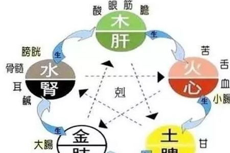 三伏天养生法,10种茶饮分别排除人体五脏毒素