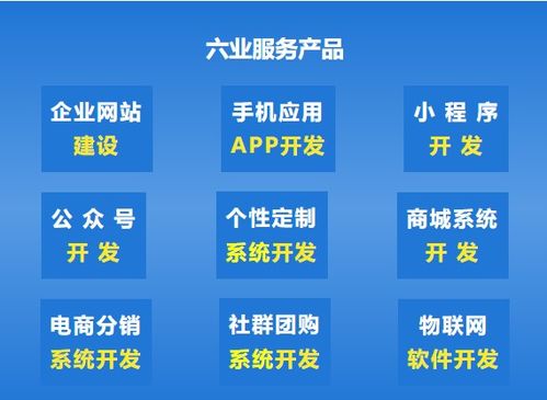 越来越多的企业选择软件定制开发,软件定制 热度 为何急剧上升