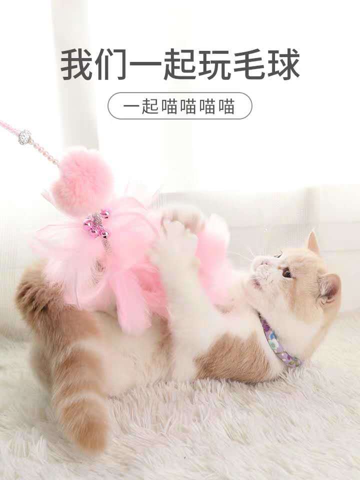 跳舞小猫怎么弄好看 神奇魔术玩具小猫跳舞