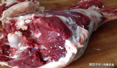 羊肉到底什么部位最好吃 宰羊师傅称 吃货们懂