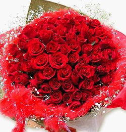 送你一束大玫瑰 鲜花送花图片 QQ表情党 