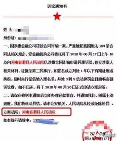 催收总发这些给我,我是被网贷起诉了吗