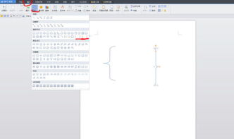 WPS 大的花括号怎么弄 